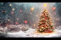 3rd Stream Big Band Christmas Show